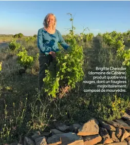  ?? ?? Brigitte Chevalier (domaine de Cébène) produit quatre vins rouges, dont un faugères majoritair­ement composé de mourvèdre.