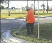  ??  ?? “The more rain we get, the more weeds pop up,” remarks Gus Luzanilla, SMS grounds lead. SMS grounds crews have been working to get a handle of those pesky weeds: weeding includes pulling the weeds and spraying them with herbicide. “You are never going to get rid of the weeds, but you can control them.”