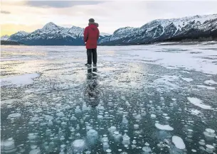  ?? DEBBIE OLSEN FOR THE TORONTO STAR ?? The ice bubbles at Abraham Lake in Alberta enchant nature lovers and photograph­ers alike.