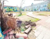  ?? GERARDO AGUIRRE ?? Árbol caído en parque de enfrente