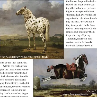  ??  ?? “The Piebald Horse” Paulus Potter (1650 - 1654) “Cerbero” Johann Georg von Hamilton (1725)