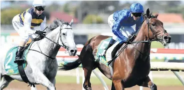  ?? Photo: Daily Telegraph ?? Handlers of Bendigo Cup winner Qewy will decide today on whether it will run in the Melbourne Cup next Tuesday.