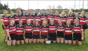  ??  ?? The Wicklow under-18s ahead of their final with Mullinagar in Navan.