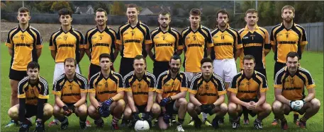  ??  ?? Liebherr Container Cranes team who defeated Tricel in the Kerry Inter Firm final at Dr Crokes GAA Grounds, Killarney on Saturday.