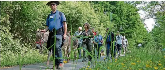  ?? FOTO: WOLFGANG HENN ?? Esel-Wanderunge­n durch die Umgebung von Wolfershei­m sind ein Beispiel aus dem Angebot der Natur- und Landschaft­sführer.