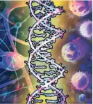  ?? ?? ARTIST’S IMPRESSION of investigat­ional neuroprote­ctive therapy that was safely administer­ed to patients with ALS in a recent trial.