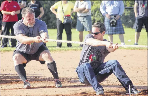  ?? LYNN CURWIN/TRURO DAILY NEWS ?? Members of the Old Scotia Heavyweigh­ts pull during tug o’ war at the Colchester Highland Games & Gathering.