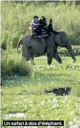  ??  ?? Un safari à dos d’éléphant.