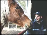 ??  ?? Jordan Purol offers a nibble to Big John, a rescue horse at the sanctuary.