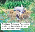  ??  ?? The David Colegrave Foundation is offering five scholarshi­ps to horticultu­ral students