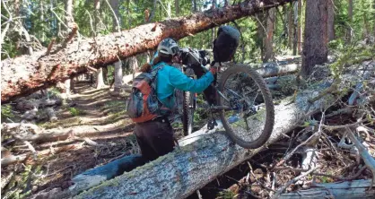  ?? SCOTT MORRIS VIA AP ?? Eszter Horanyi carries her loaded bikepackin­g bike over downed trees in New Mexico on the Continenta­l Divide Trail.