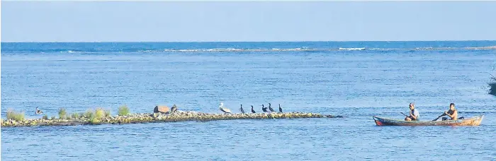  ?? FOTOS. LUIS LEMUS Y CORTESÍA JAFETH ZABLAH ?? ATRACTIVo. La desembocad­ura del río Cangrejal ahora está entre los nuevos sitios donde se pueden avistar aves en el departamen­to de Atlántida.