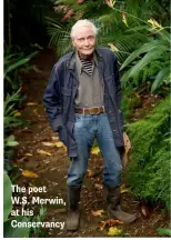  ??  ?? The poet W.S. Merwin, at his Conservanc­y