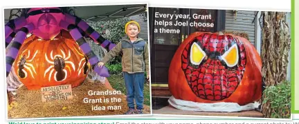  ?? ?? Grandson Grant is the idea man
Every year, Grant helps Joel choose a theme