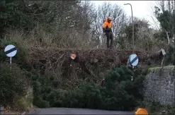  ?? Picture: Gordon Terris ?? Clearing up in the village of Spott, near Dunbar, East Lothian, after Storm Arwen passed over