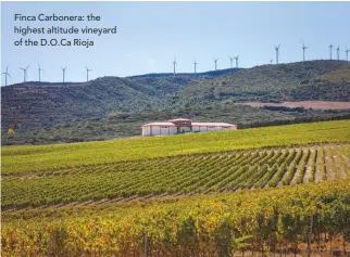  ??  ?? Finca Carbonera: the highest altitude vineyard of the D.O.Ca Rioja