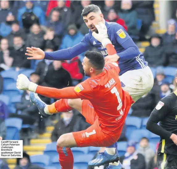 ??  ?? Cardiff forward Callum Paterson challenges Brentford goalkeeper David Raya on Saturday