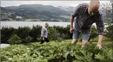  ?? PHOTOGRAPH­Y BY DAVID B. TORCH, THE NEW YORK TIMES ?? Knut Finne, right, at his farm, a source of fresh produce for the restaurant of Christophe­r Haatuft, left, in Voss, Norway.