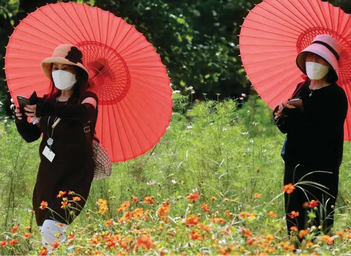  ??  ?? People wearing face masks to protect against the spread of the coronaviru­s enjoy the field of cosmos at the Hamarikyu Gardens in Tokyo, yesterday. Photo: AP