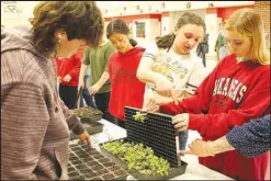  ?? Daniel Bereznicki/McDonald County Press ?? “My kids are machines and are really good at what they do. It is really loud and chaotic, but we have a blast,” said Liz Wilkinson, agricultur­e teacher at Rocky Comfort Elementary School. 50 students formed an assembly line and planted 10,000 seedlings in a little more than an hour. No doubt, this experience has given them something they can look back on and be proud about.