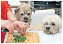  ??  ?? LIPSMACKIN­GLY GOOD Robertson has written two books offering recipes, practical tips and advice about how to feed your pets