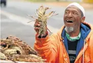  ?? Picture: ESA ALEXANDER ?? RARE DELICACY: West coast crayfish is fast vanishing from South African waters — and dinner tables