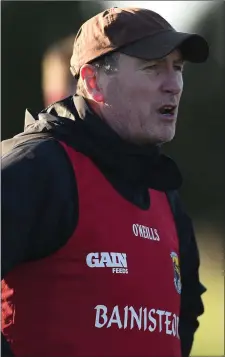  ??  ?? Wexford manager Paul McLoughlin.