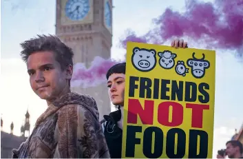  ?? ?? Taking a stand: Animal Rebellion protesters have brought their message to Parliament