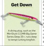  ??  ?? A diving plug, such as the Mirrolure 111MR Big Game Series Deep 25+, runs deep to tempt lurking kingfish. Get Down