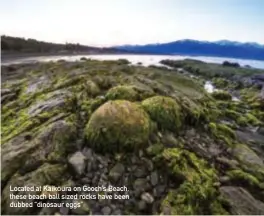  ??  ?? Located at KaikȬura on Gooch’s Beach, these beach ball sized rocks have been dubbed “dinosaur eggs”