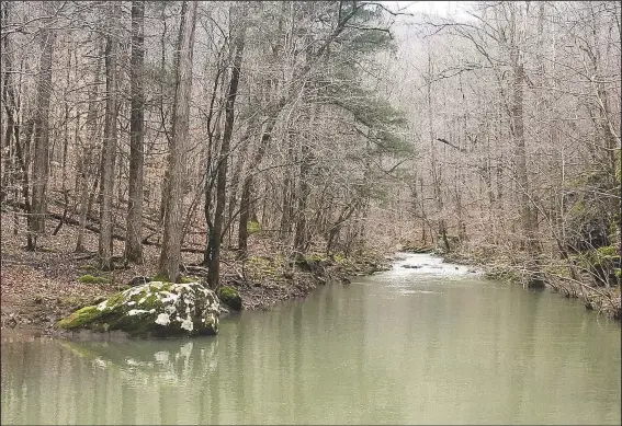  ?? (NWA Democrat-Gazette/Flip Putthoff) ?? Smith Creek, seen here on March 20, flows through the heart of Smith Creek Preserve.