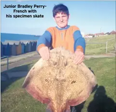  ??  ?? Junior Bradley PerryFrenc­h with his specimen skate