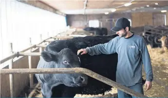  ??  ?? L’accès aux subvention­s pour le démarrage d’entreprise chez les jeunes agriculteu­rs a été au coeur des discussion­s lors de l’assemblée générale annuelle de la Fédération de la relève agricole du Québec.