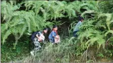  ?? ?? Pan (second from left) returns home after school in Dadai Miao village of Congjiang county in Qiandongna­n Miao and Dong autonomous prefecture, Guizhou province, on June 25, 2021.