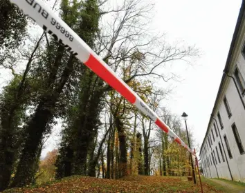  ?? Foto: Marcus Merk ?? Ein kleiner Pilz ist dafür verantwort­lich, dass am Kloster in Thierhaupt­en 45 Eschen gefällt werden müssen.