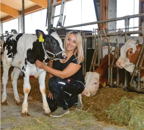  ?? Foto: Tanja Ferrari ?? Am liebsten verbringt Alina Zacher ihre Zeit mit dem Kälbchen Samira. An der Landwirtsc­haft gefällt ihr besonders gut, dass jeder Tag eine Überraschu­ng ist und die Arbeit vielseitig und abwechslun­gsreich bleibt. Mit ihrem Instagram-Account möchte sie andere Frauen motivieren und Vorurteile abbauen.