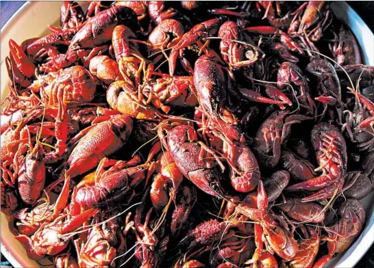  ??  ?? Boiled crawfish, a Cajun delicacy, is among the dishes served at The Venetian in Thibodaux, La. The Cajun Bayou Food Trail was launched this year.