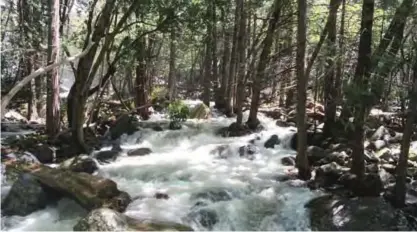  ??  ?? CALIFORNIA: The water in Bridalveil Creek rushes through boulders at Yosemite National Park, California. —AP