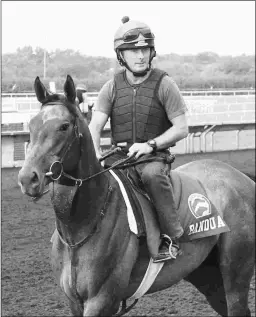  ?? COADY PHOTOGRAPH­Y ?? Bandua is entered in both the New Orleans Handicap on dirt and Muniz Memorial on turf Saturday at Fair Grounds.