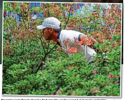  ??  ?? Blooming ’eck: Brooks Koepka finds trouble on the second at Augusta yesterday