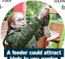  ?? ?? A feeder could attract birds to you garden Picture: Eleanor Bentall, RSPB