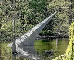  ?? STACY SQUIRES/STUFF ?? Two seagulls have died after they came to grief on David Mccracken’s Diminish and Ascend sculpture at the Christchur­ch Botanic Gardens.