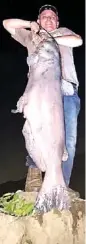  ?? CONTRIBUTE­D PHOTO/TENNESSEE WILDLIFE RESOURCES AGENCY VIA DAVID ANDERSON ?? Hamilton County resident David Anderson holds up the 103-blue catfish he caught just before midnight May 30 on the Tennessee River’s Nickajack Reservoir.