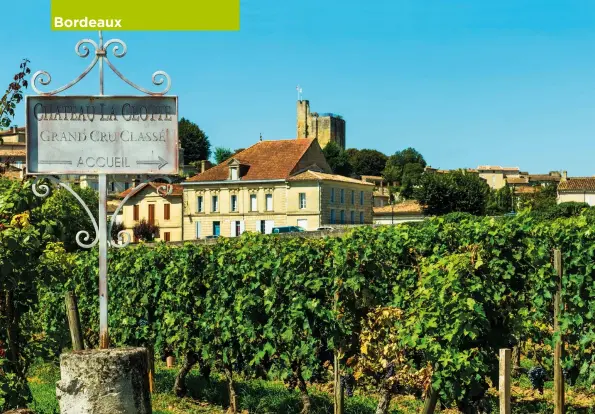  ??  ?? Above: the grand cru vineyard at Château La Clotte