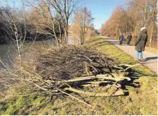  ??  ?? Haufenweis­e Holz: Das Schnittgut wird als Hackschnit­zel verfeuert.