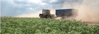  ??  ?? A harvester gathering wheat in Ukraine. Photo: Corteva Agriscienc­e