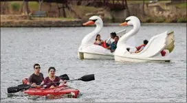  ?? AMERICAN-STATESMAN 2011 ?? Many people flock to Lady Bird Lake to cool off during the summer by kayaking, canoeing and pedaling swan boats.