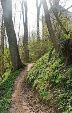  ?? Foto: Stadt Lauingen ?? Der Sieben Quellen Weg ist wieder passierbar.