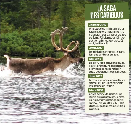  ?? PHOTO D’ARCHIVES ?? Le troupeau, qui ne compte plus que 18 caribous, est dans un secteur exploité par l’industrie forestière.