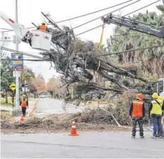  ??  ?? ► 65 árboles cayeron en Las Condes debido a ráfagas de viento.